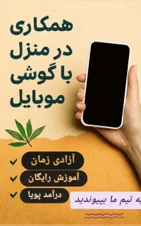 استقلال مالی بانوان