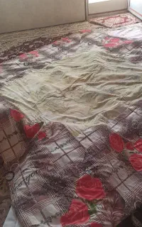 سلام لهاف عروس ولهاف کرسی هردونونو