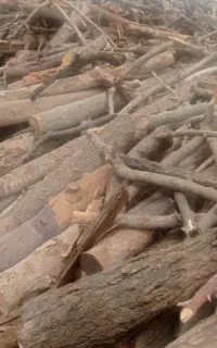 قطع چوب حمل چ خرید چوب