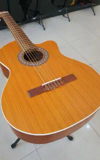 گیتار پارسی در همه مدل