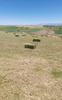 ۳۶۰ عدد پرس یونجه