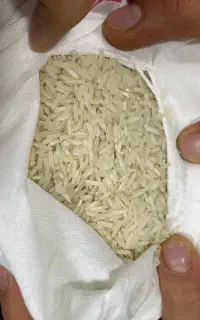 برنج طارم کشت دو با عطر و بو