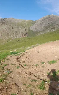 کار کشاورزی با اکیپ کارگر جوان