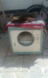 کولر ابی
