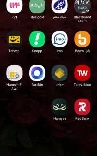 همیان نصب کن صاحب در آمد شو