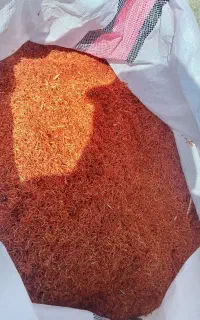 فروش و خرید گلرنگ