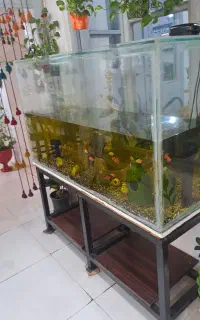 آکواریوم حرفه ای بزرگ