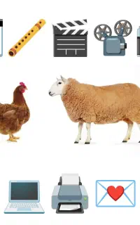 قربانی و امور مراسمات مناسب ترین قیمت در استان