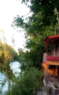 تور شاد بانوان