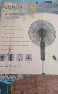 پنکه