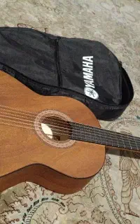 گیتار پارسی