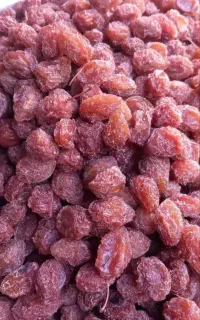 بزرگترین سبزیجات آماده در ملایر