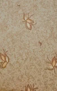 27 متر موکت یک تیکه ظریف مصور