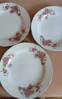 بشقاب گل سرخ