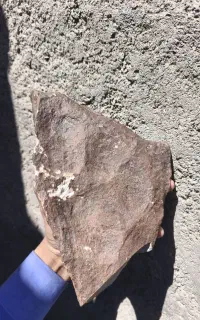شهاب سنگ کلکسیونی زیبا