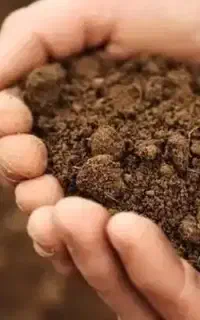 خاک کشاورزی نباتی