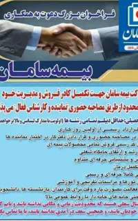 کارشناس بیمه مدیر فروش و مدیر ارشد فروش