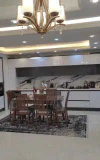 نیروی ام دی اف کار نیمه وارد