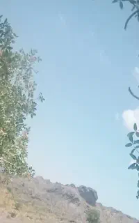 زمین کوهستان