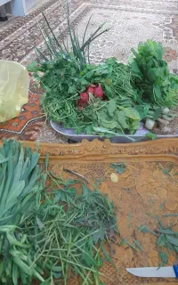 دنبال کار در خانه هستم