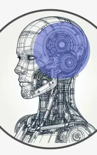 برنامه نویس و طراح سایت هستم