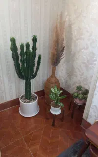 سفارش غذای خونگی