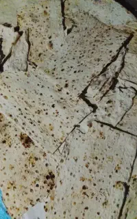 نان خشک