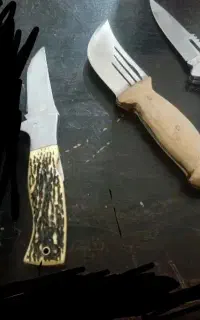چاقو معاوضه بامرغ