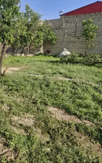 خاک کشاورزی رایگان