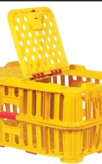 صندوق مرغ