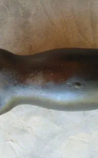هیزه