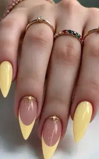 کاشت باژل باقیمت 450ژلیش280