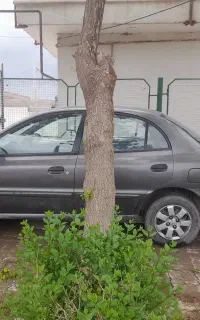ریو مدل ۹۰
