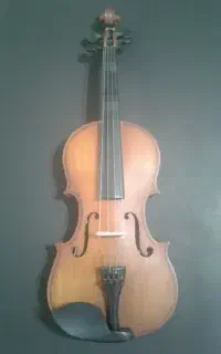 ویولن آموزشی در حد نو