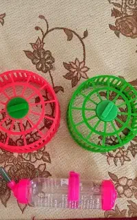 لوازم همستر