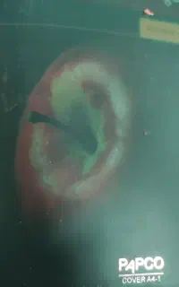 ترجمه متون و مقالات انگلیسی