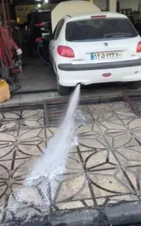 کربن زدای و شست شوی کاتالیزور خودرو