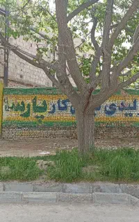 زمین تجاری