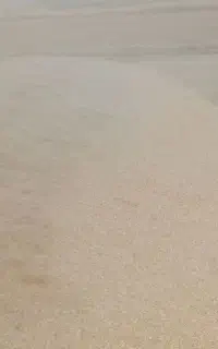 خرمن کاه جو