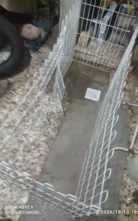 پارک سگ