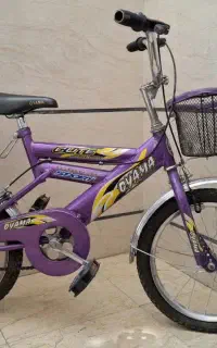 دوچرخه ۱۶ بچه گانه