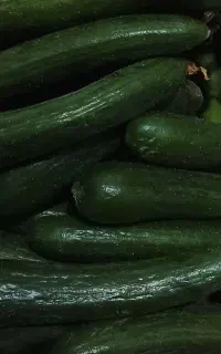 خیار خیارشوری و میوه ای تازه چین