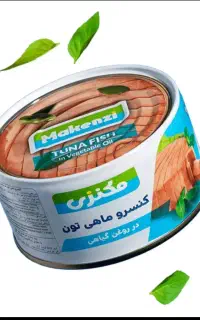 استخدام بازاریاب شرکت مکنزی
