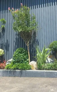 خدمات باغبانی باغچه کاری و اپارتمانی انجام می شود