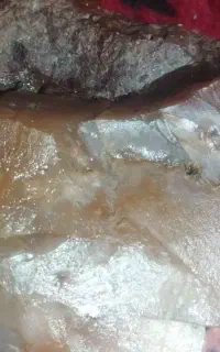 سنگ راف