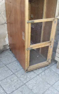 فروش قفس