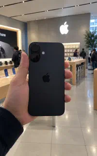 16 نرمال تنوری