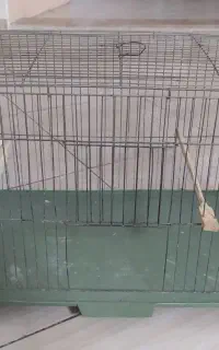 قفس پرنده