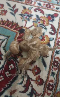 پیاز زعفران