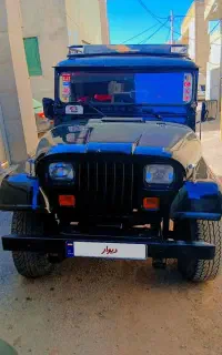 چیپ صحرادرحدصفر